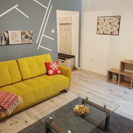 Appartement Apartament downtown à Cluj-Napoca Extérieur photo